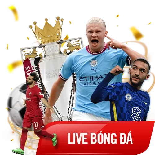 live bóng đá tại rikvip